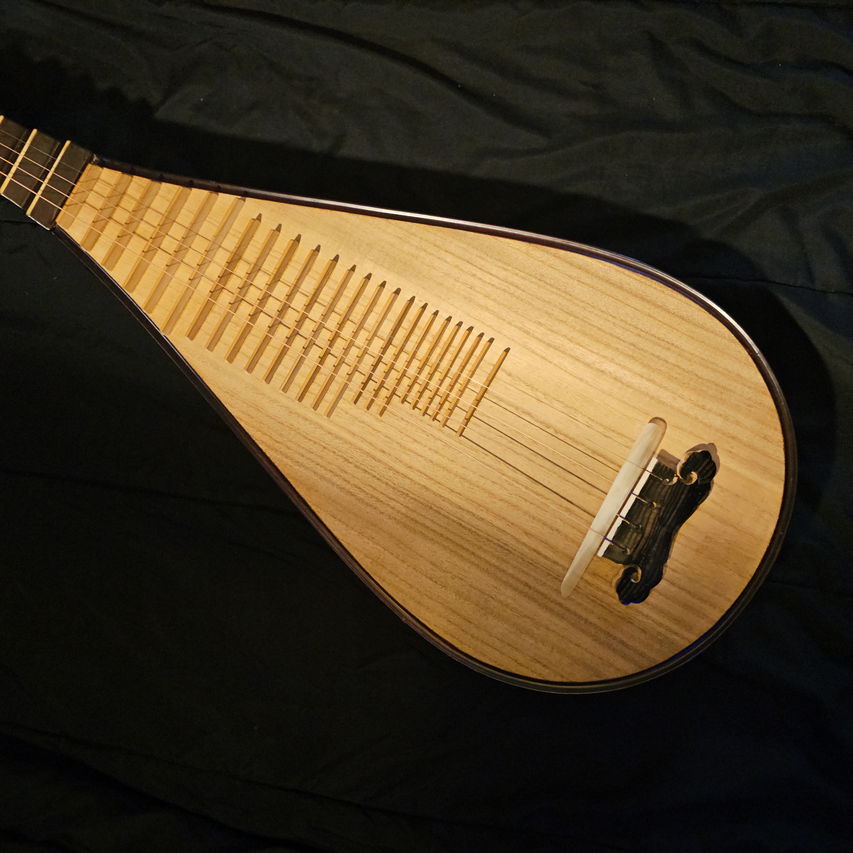 Close-up of the Chinese Pipa